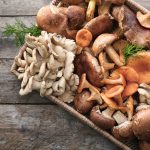 different-types-of-mushrooms